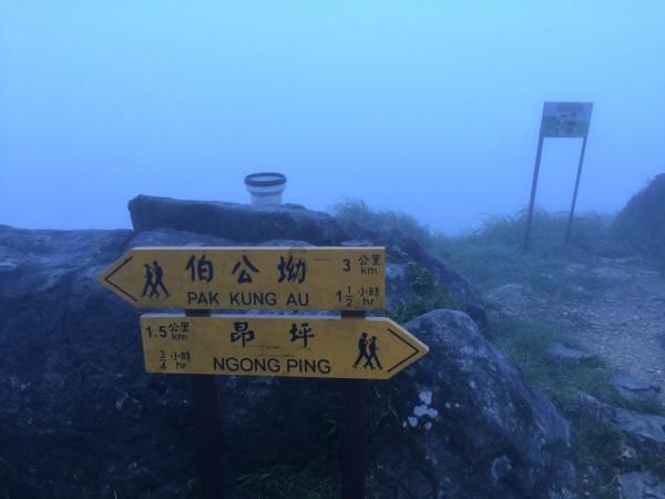 逃离危险禁地